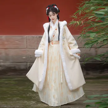 Женская юбка в стиле Song в стиле Han с двубортным плюшем и толстым капюшоном, длинным поясом и перекрещивающимся воротом, плиссированная юбка